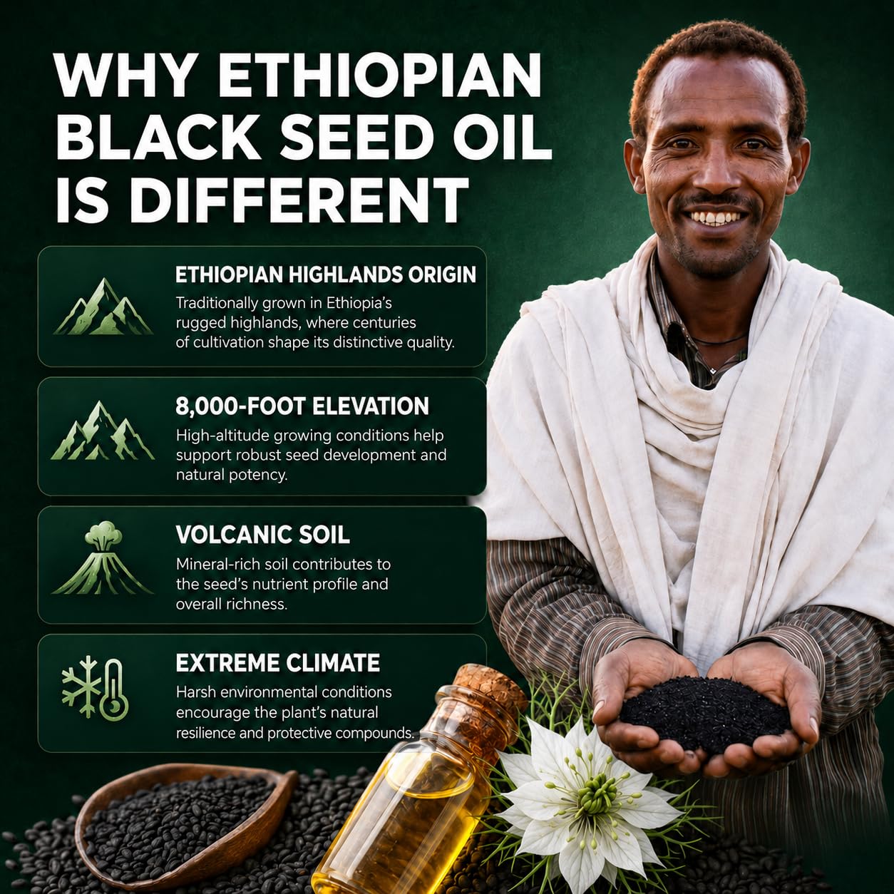 Paradise Emerald Ethiopian Black Seed Oil Softgels with 4.64% Thymoquinone, Cold-Pressed, Non-GMO, Gluten-Free, Daily Immune and Digestive Support, 60 Softgels