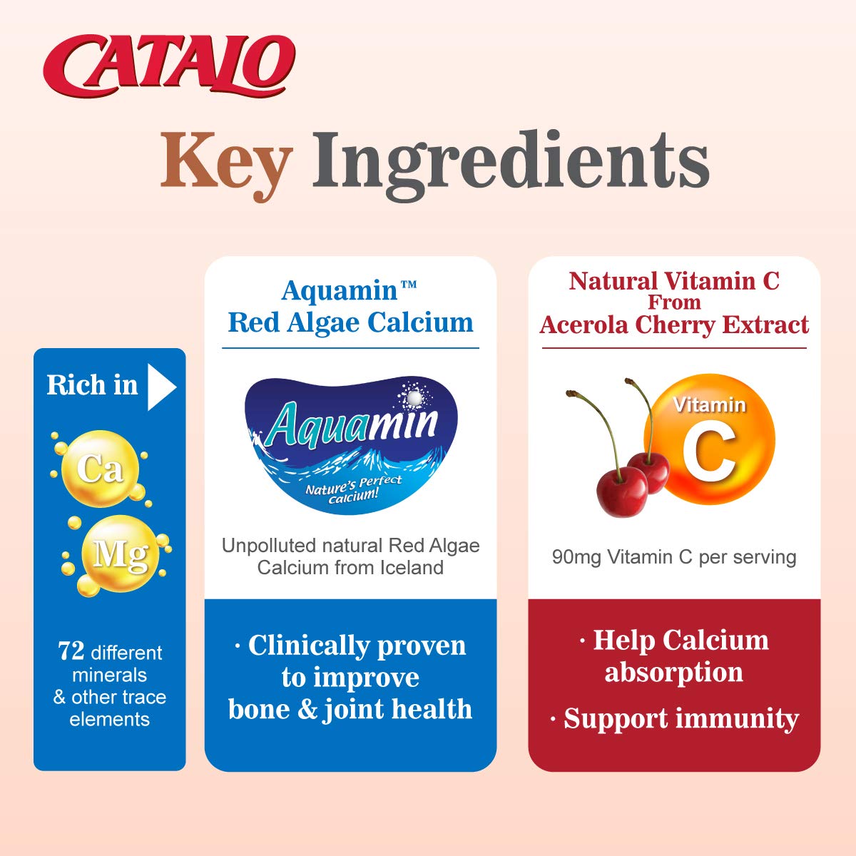 CATALO Vegetarian Calcium for Pregnancy Tablet 90 Count