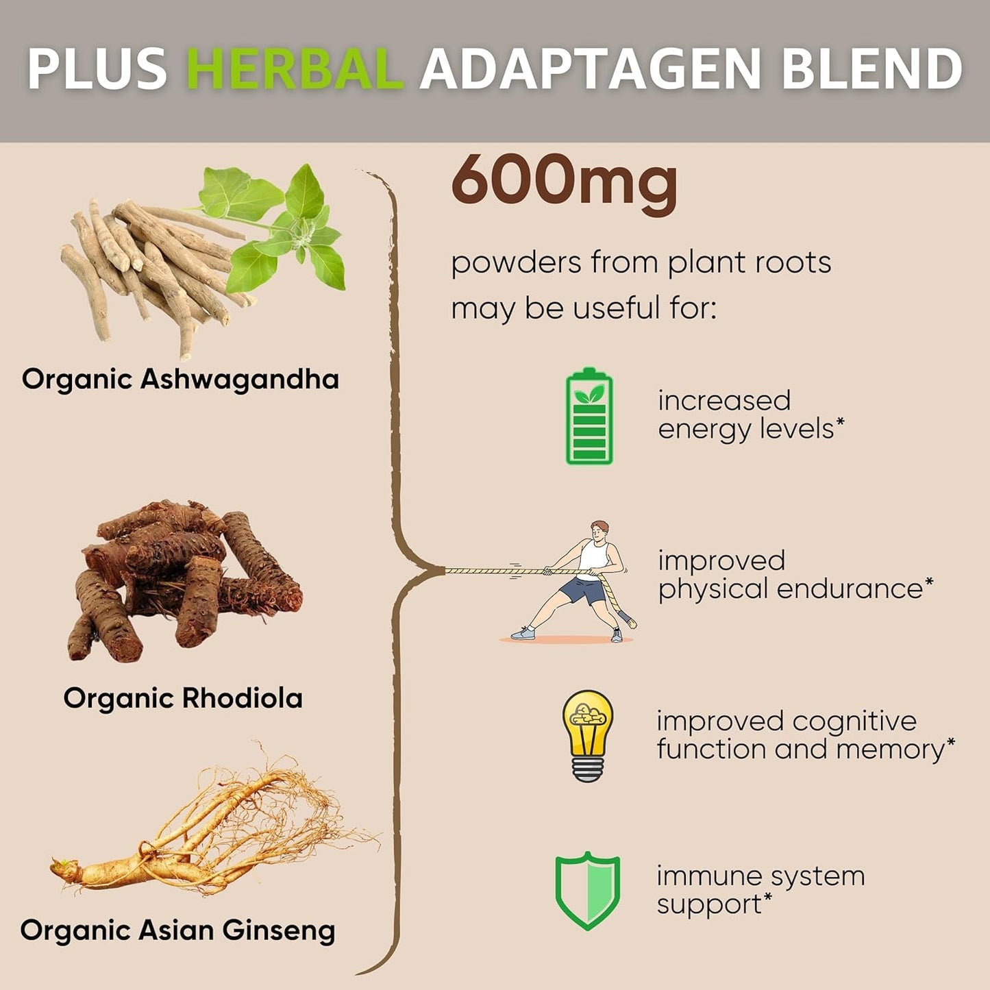 Healblend Mushrooms Extract Supplement Blend - Lions Mane, Cordyceps, Agaricus, Turkey Tail, Reishi, Chaga, Shiitake, Maitake Plus Adaptogen Complex Powder 4.66 oz