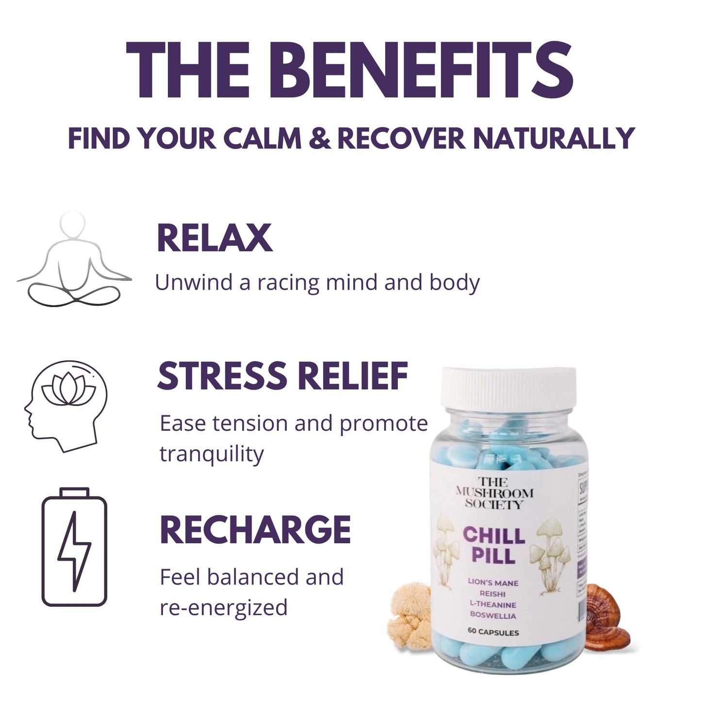 The Mushroom Society Chill Pill Lion’s Mane, Reishi, L-Theanine & Boswellia Extract Blend 120 Capsules