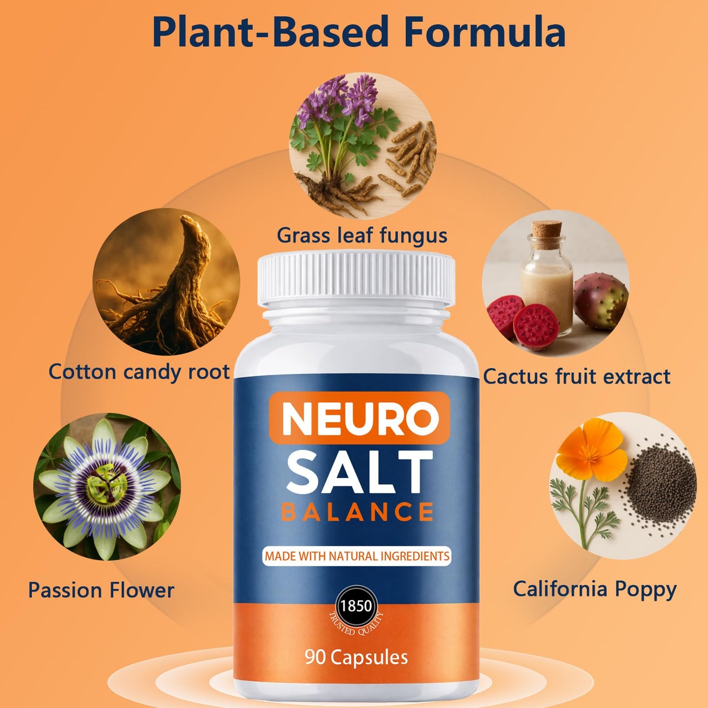 NEURO SALT Electrolyte & Mineral Support Capsule 60 Count
