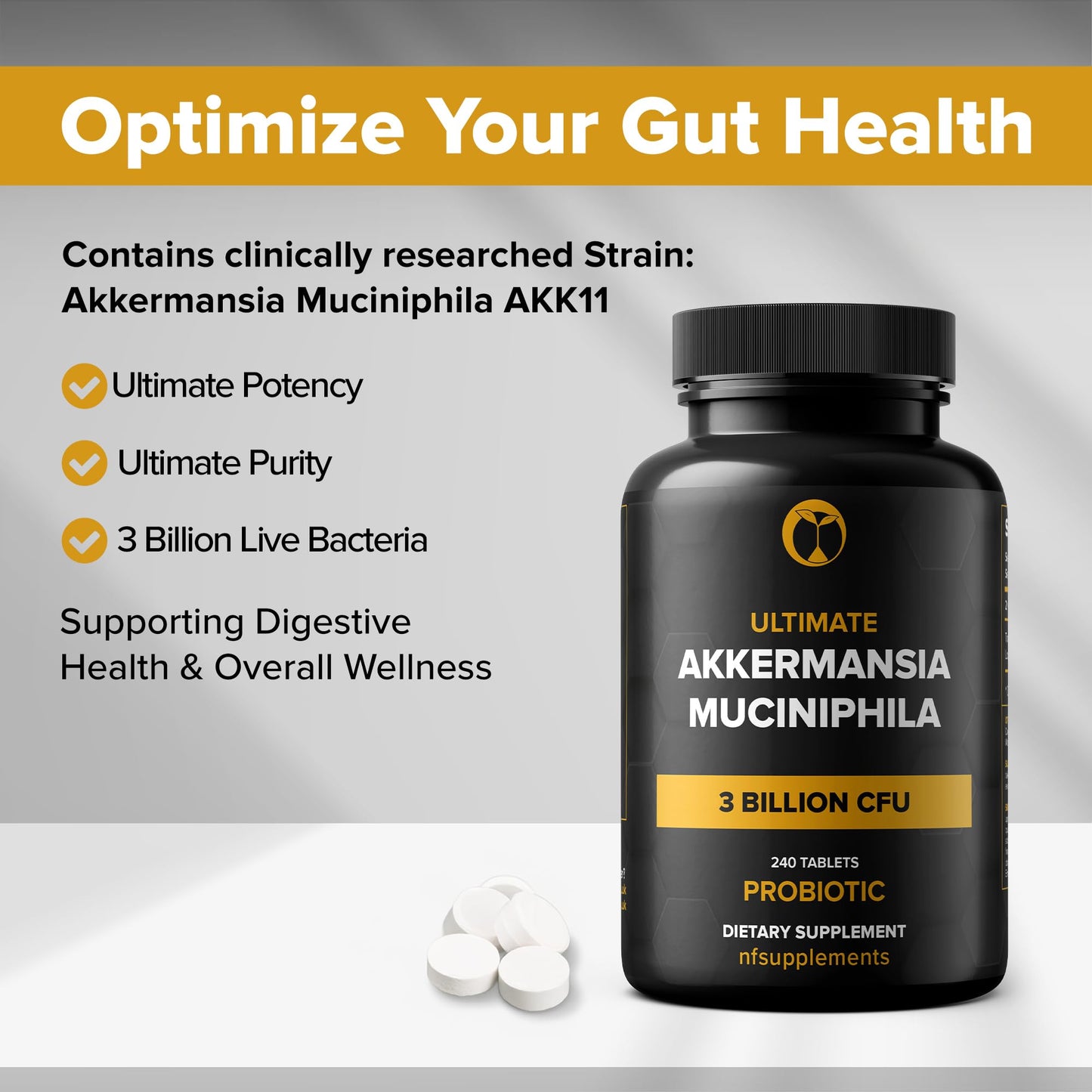Natural Foundation Supplements Akkermansia Muciniphila Probiotic Supplement 3 Billion CFU Tablets 240 Tablets