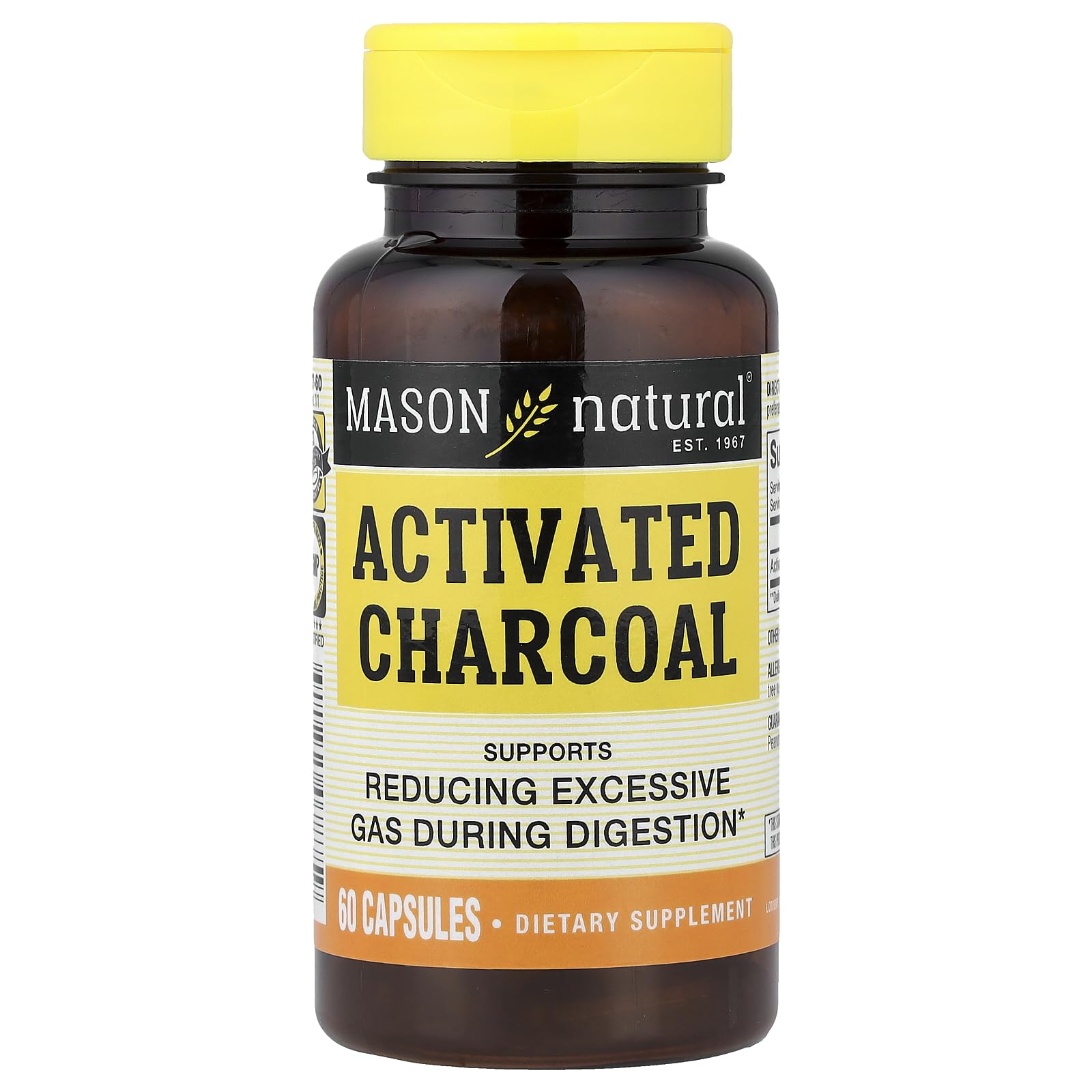 Mason Natural Activated Digestive Aid Vegetable Charcoal Capsules, 60 Count
