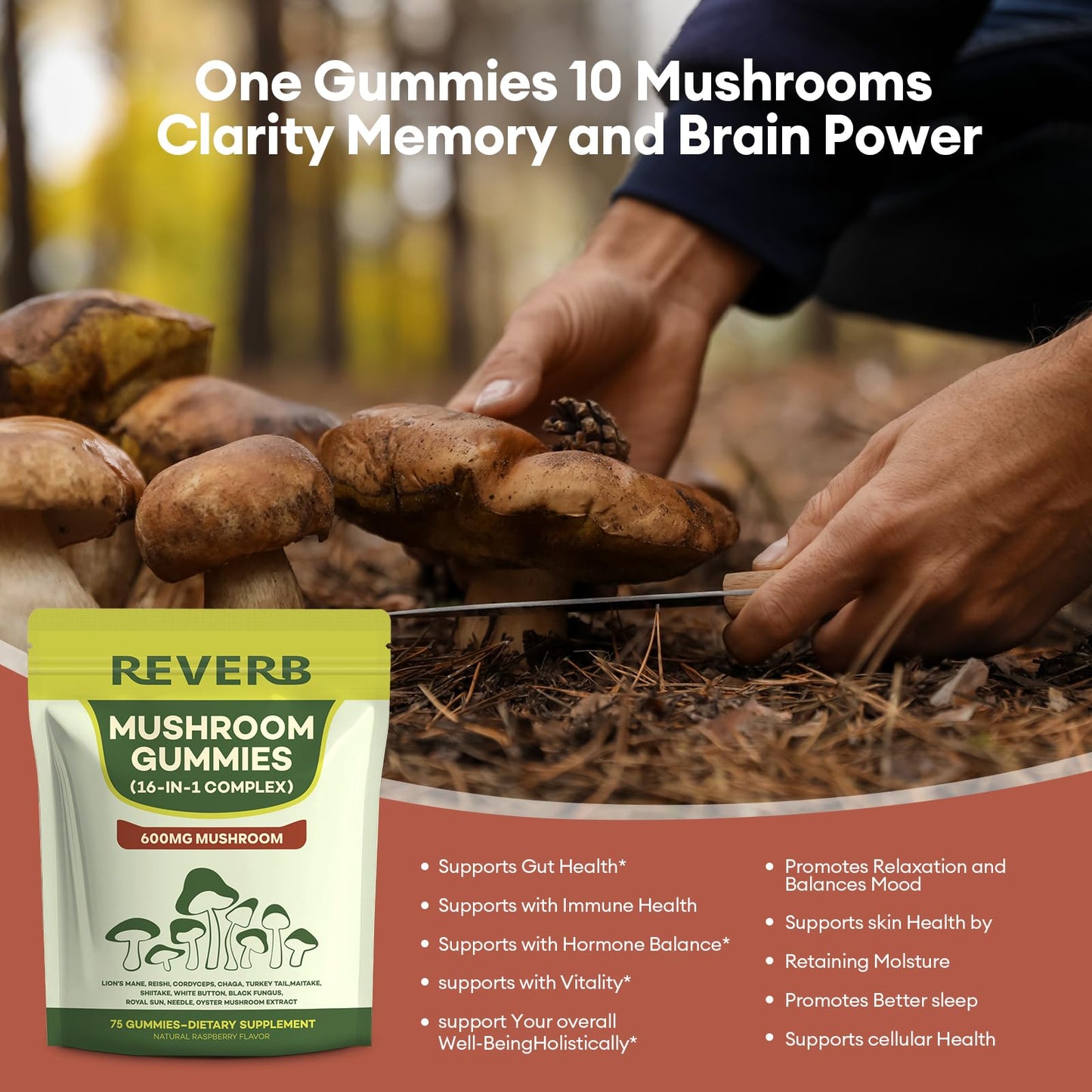 REVERB Mushroom Gummies 16-In-1 Mushroom Blend With Ashwagandha for Brain Health, Memory & Focus, Energy, 75 Gummies