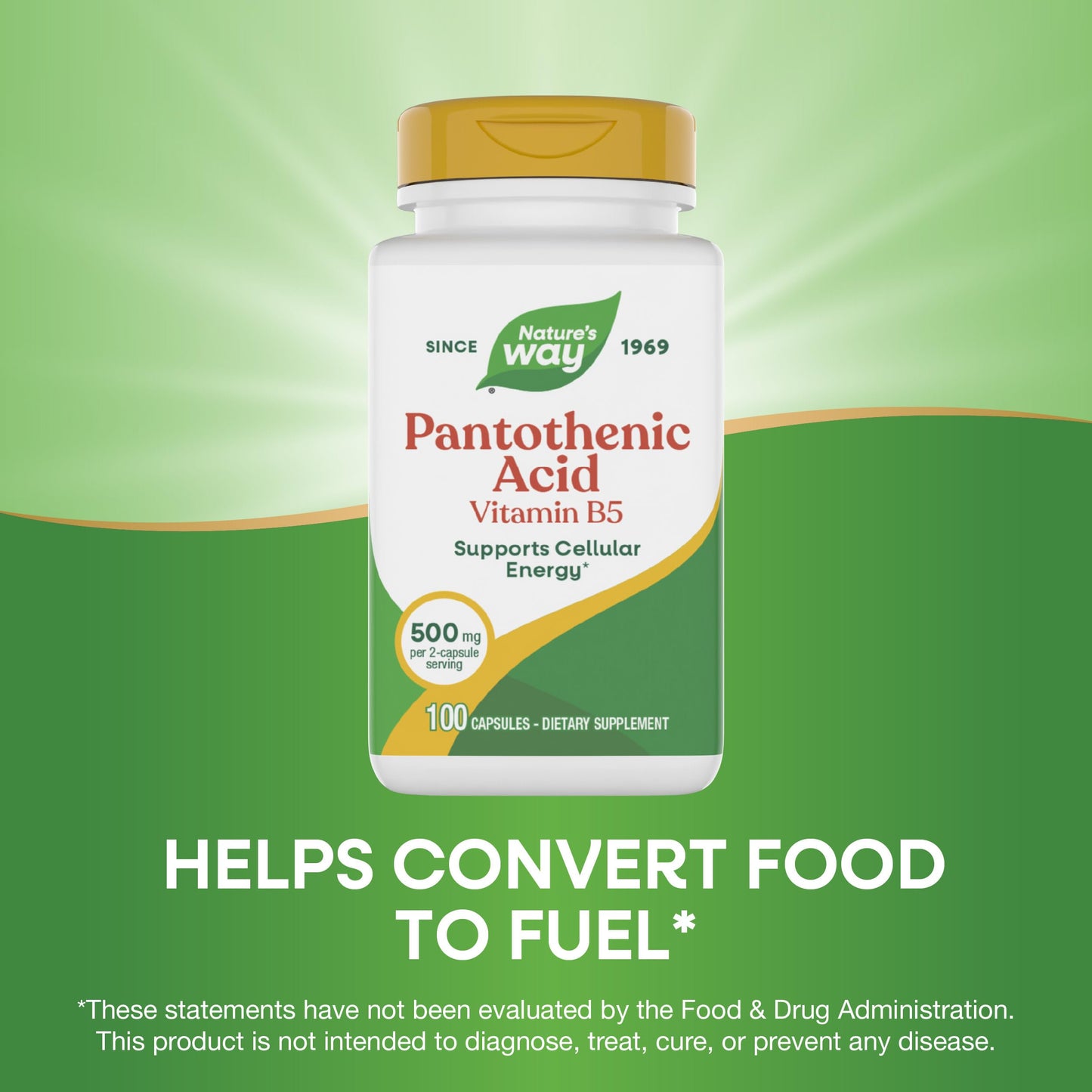 Nature's Way Pantothenic Acid Capsules, Supports Cellular Energy*, 100 Capsules