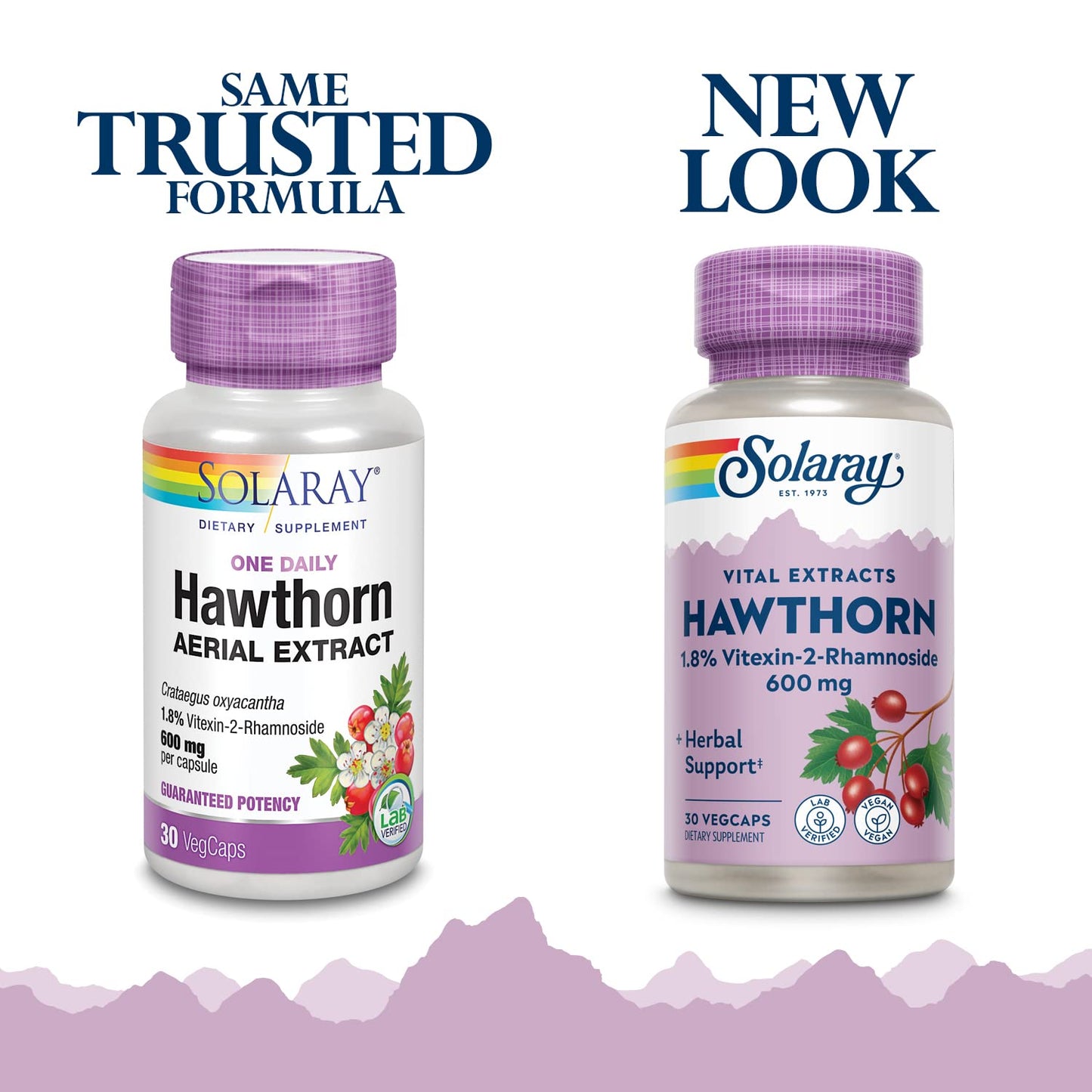 Solaray One Daily Hawthorn Extract Capsule, 30 Count