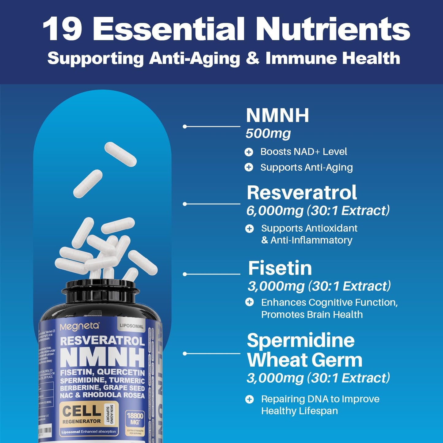 MEGNETA All in One NMNH Supplements Capsule 120 Count