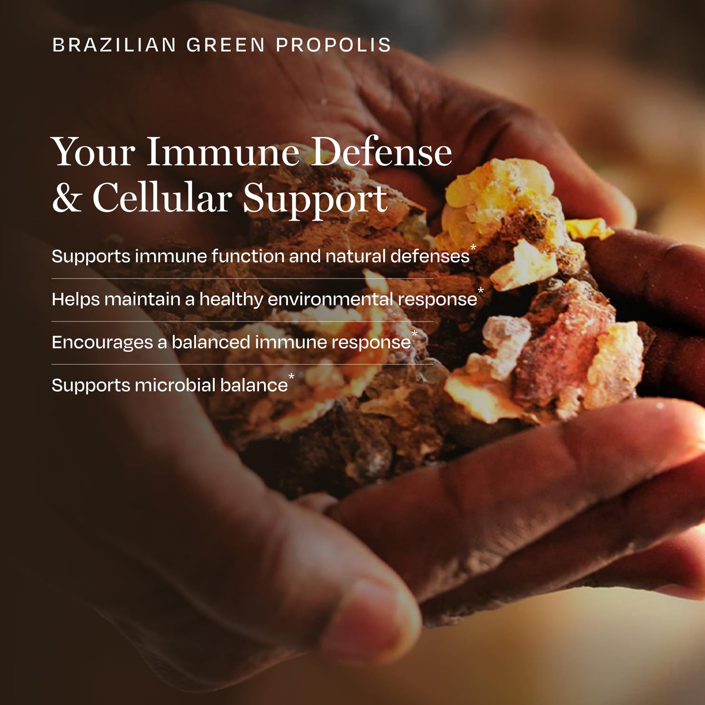 BioPure Brazilian Green Propolis Pure Propolis Extract – Natural Freeze-Dried Extract with Atrepillin-C and Phenols to Support Respiratory, Gastrointestinal, and Immune Function, 60 Capsules