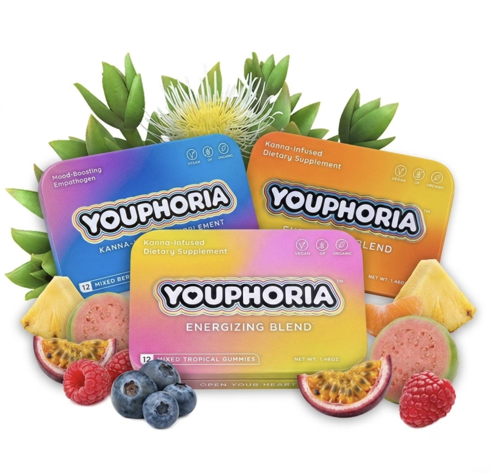 Youphoria Kanna Gummies 600mg Vegan Botanical Supplement for Mood Support, Gummy, 12 Count