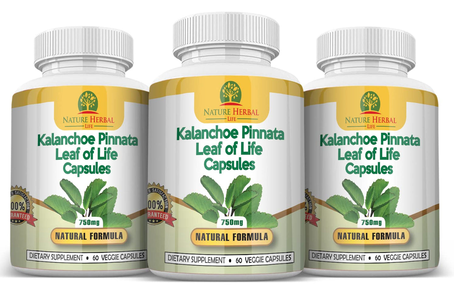 Nature Herbal Life Kalanchoe pinnata Leaf of Life Cathedral Bells 750 mg Vegetarian Capsules, 180 Count