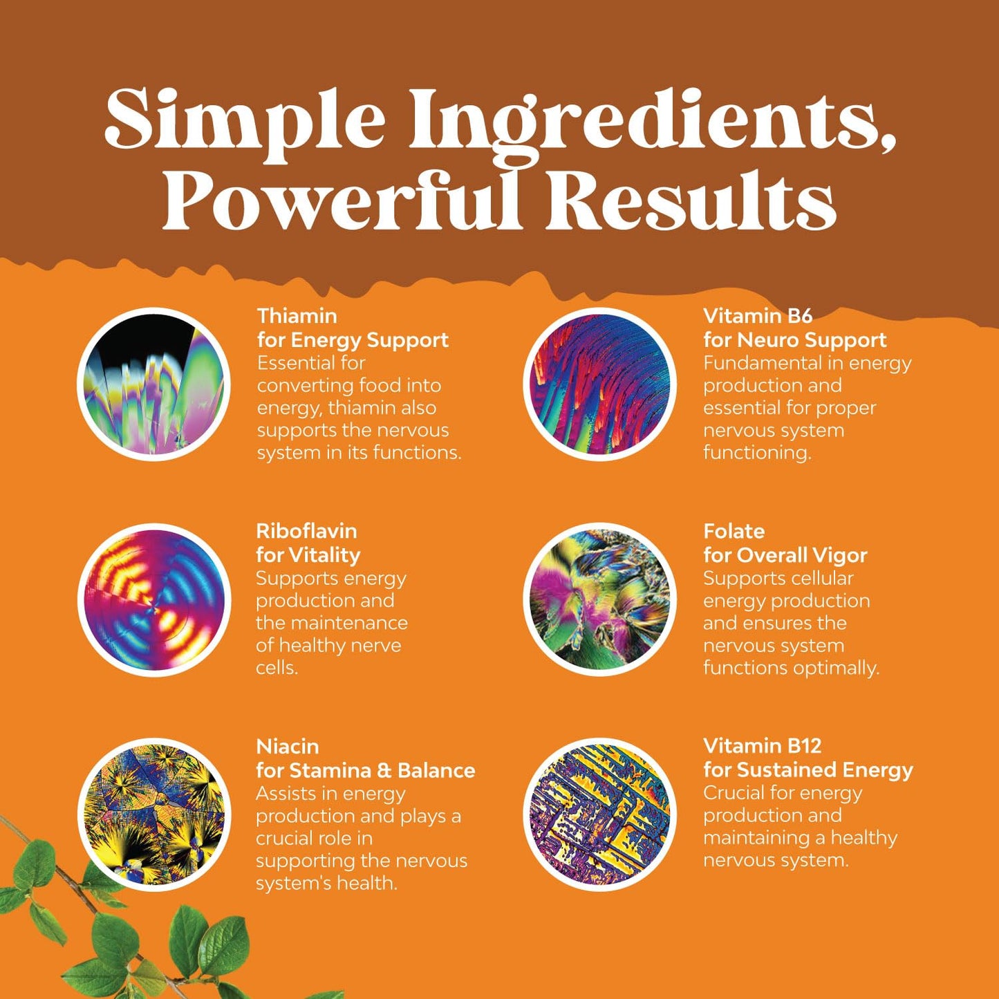 Natures Craft Vitamin B Complex Tablets 100 Count