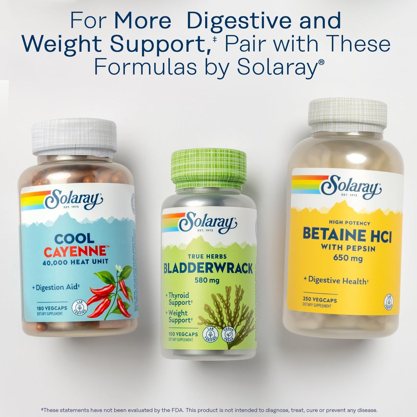 Solaray Lipotropic 1000 Plus Digestive, Energy & Fat Metabolism Support with Betaine HCl & Vitamin B-6, 180 Capsules