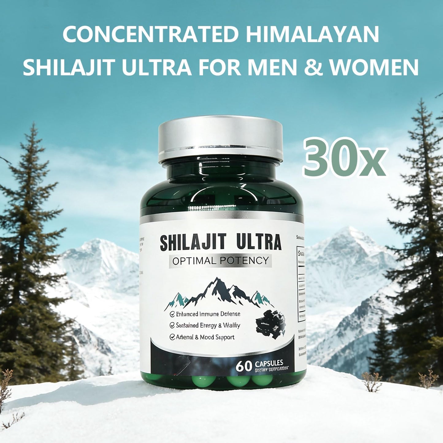 KEGECOL Shilajit Capsules 1,300mg with 50% Fulvic Acid & L-Arginine – Stamina, Energy & Immune Support, 60 Capsules
