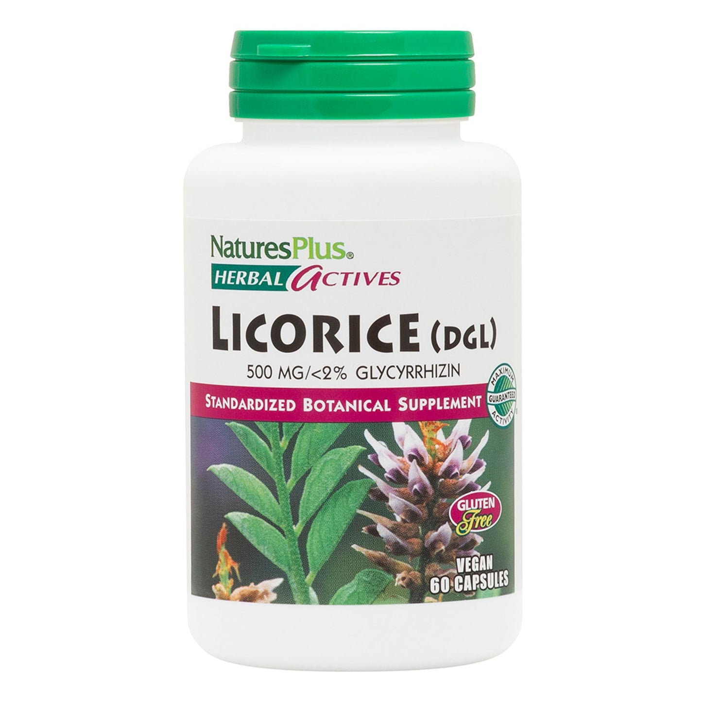 NaturesPlus Herbal Actives Licorice (DGL) Capsules, 60 Capsules
