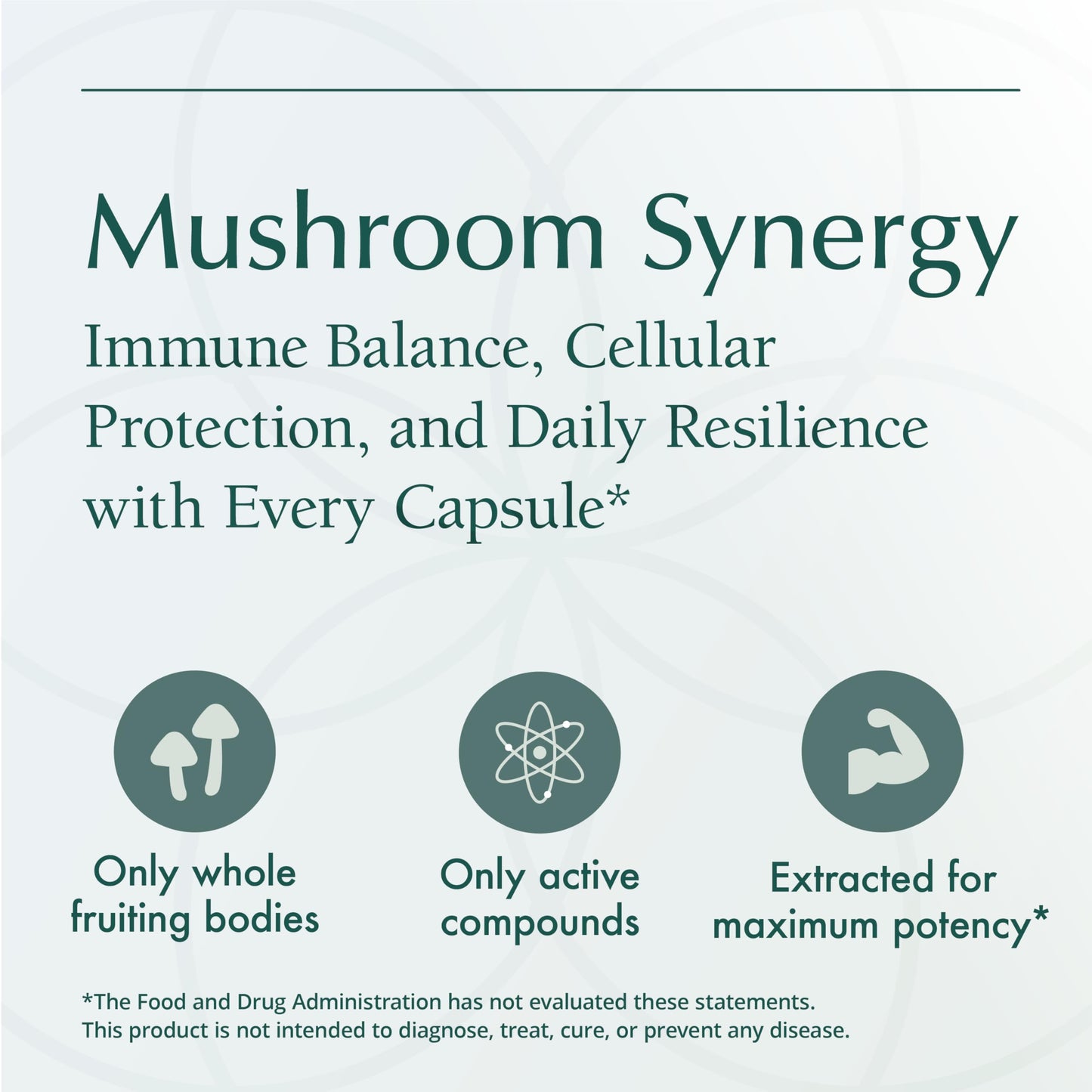 Natura Health Products Mushroom Synergy Turkey Tail Reishi & Chaga 180 Capsules