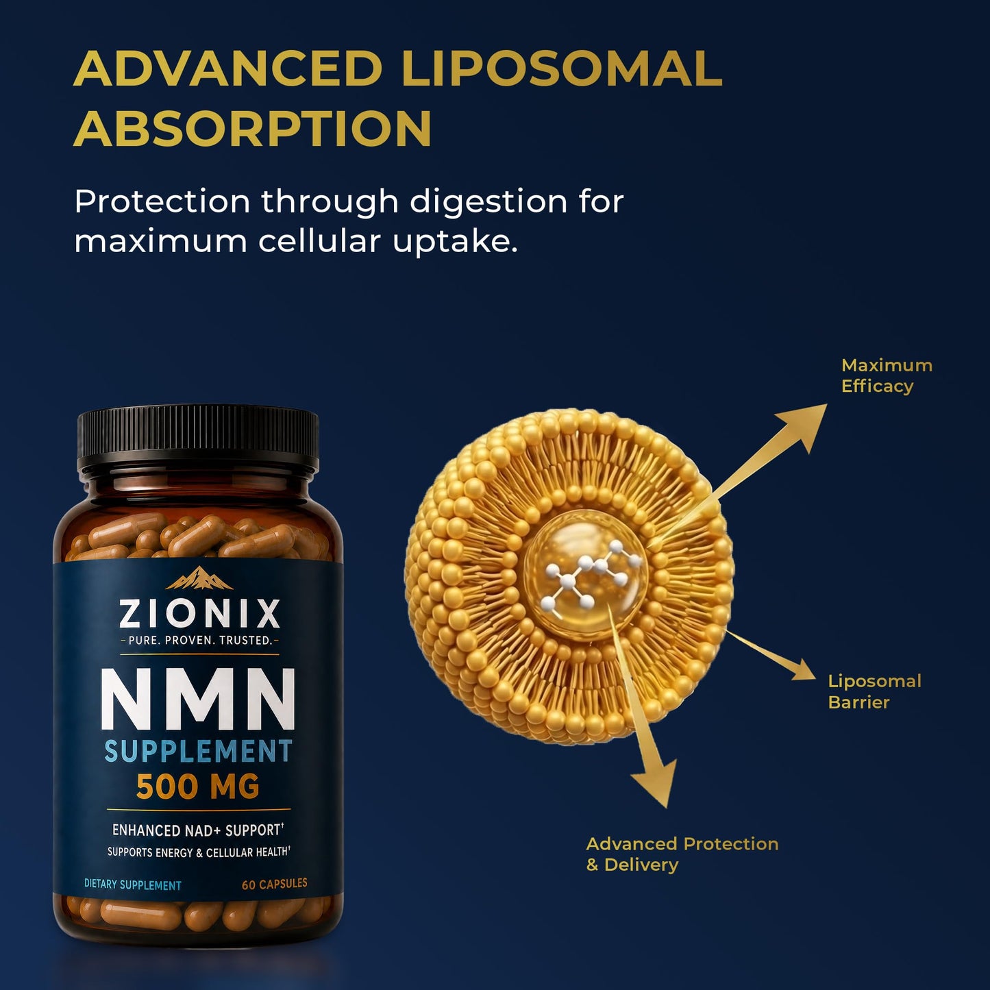 Zionix NMN Supplement 500mg Capsule, 1 Count