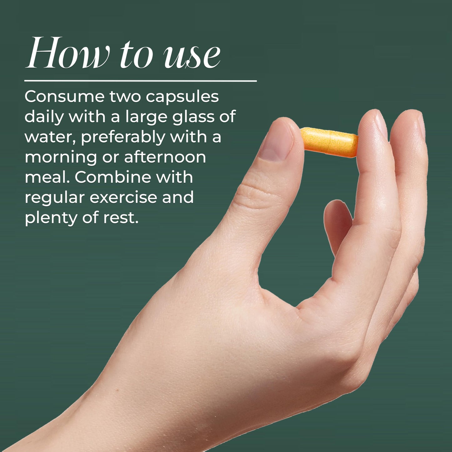 Primal Harvest Turmeric Complex Capsules 120