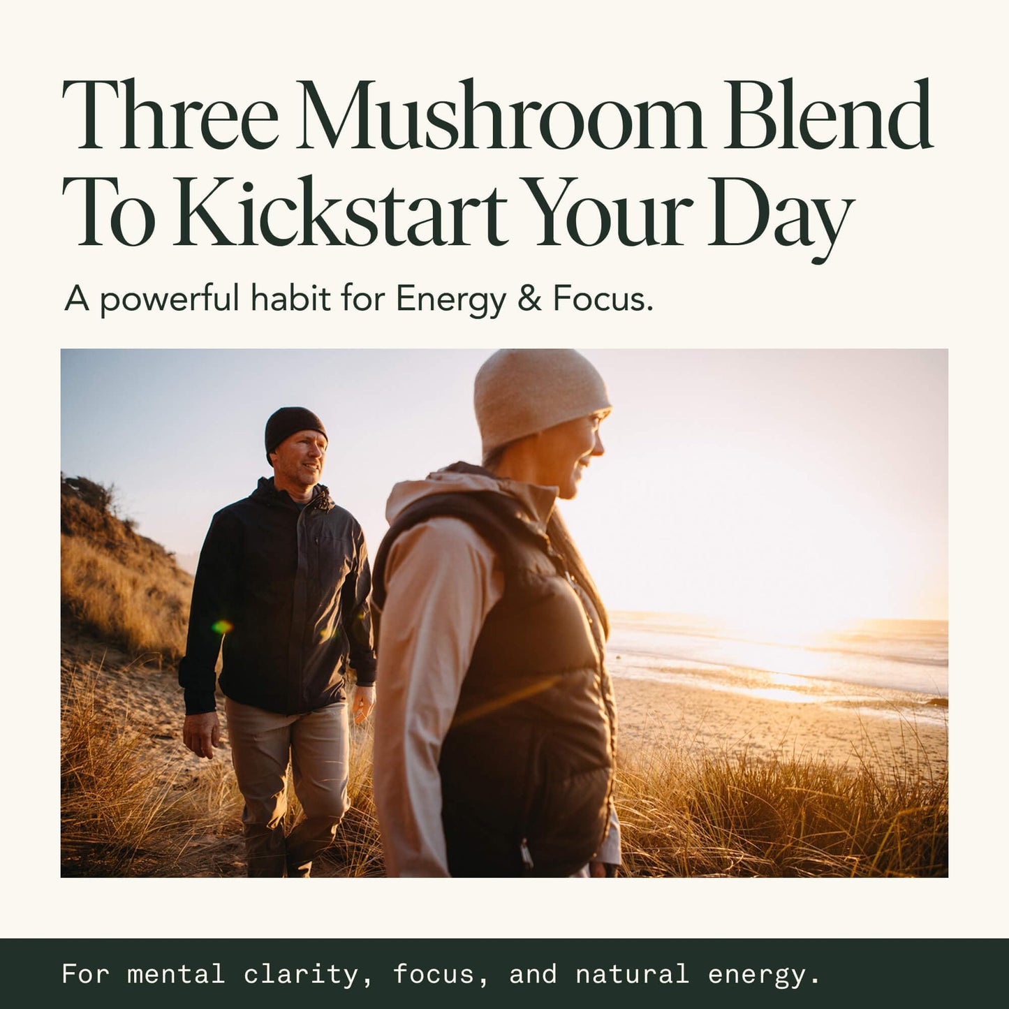 Fantastic Fungi Lions Mane, Cordyceps and Chaga Mushroom Blend Capsules 120 Capsules