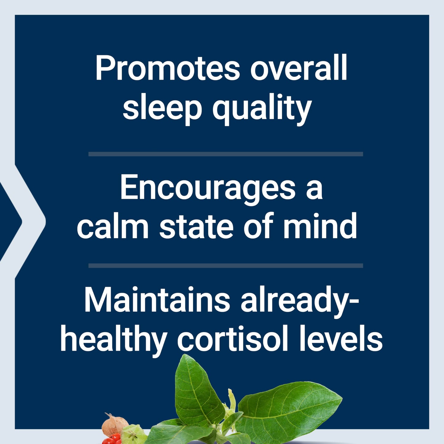 Life Extension Serene Sleep Softgels, Ashwagandha and Black Cumin, 30 Count
