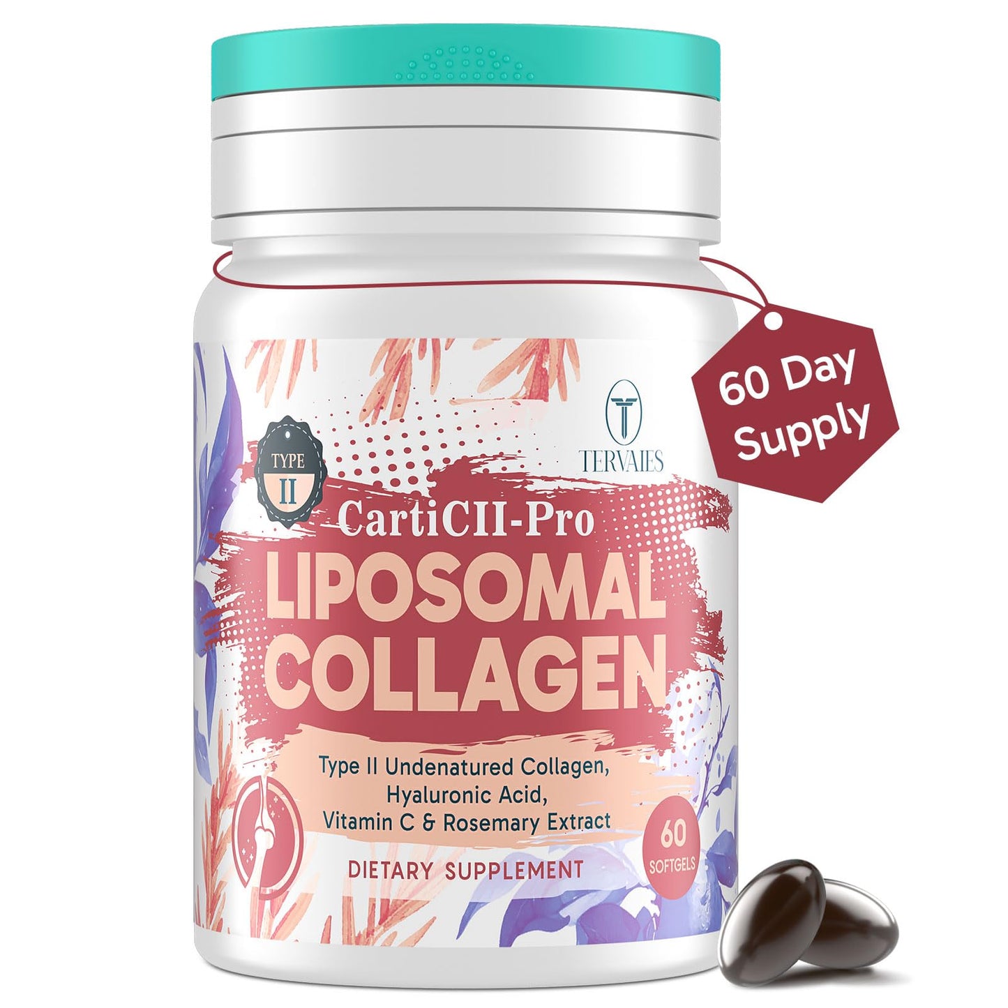 Tervaies Liposomal Collagen with Undenatured Type 2 Collagen 60 Softgels