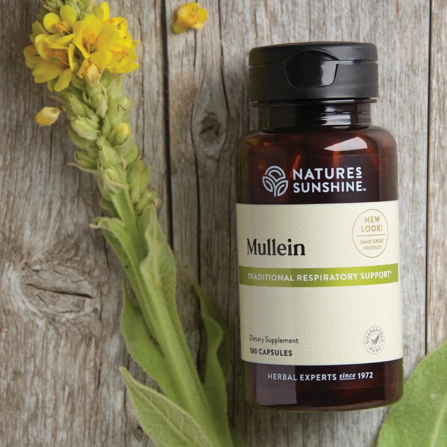 Nature's Sunshine Mullein Capsules 100
