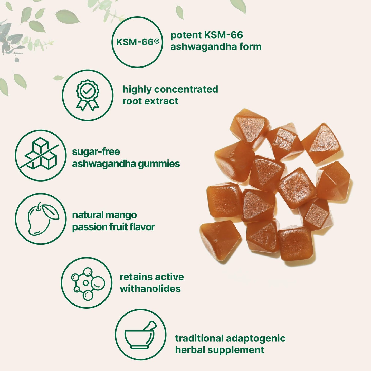 Micro Ingredients KSM-66 Ashwagandha Gummies 120 Count