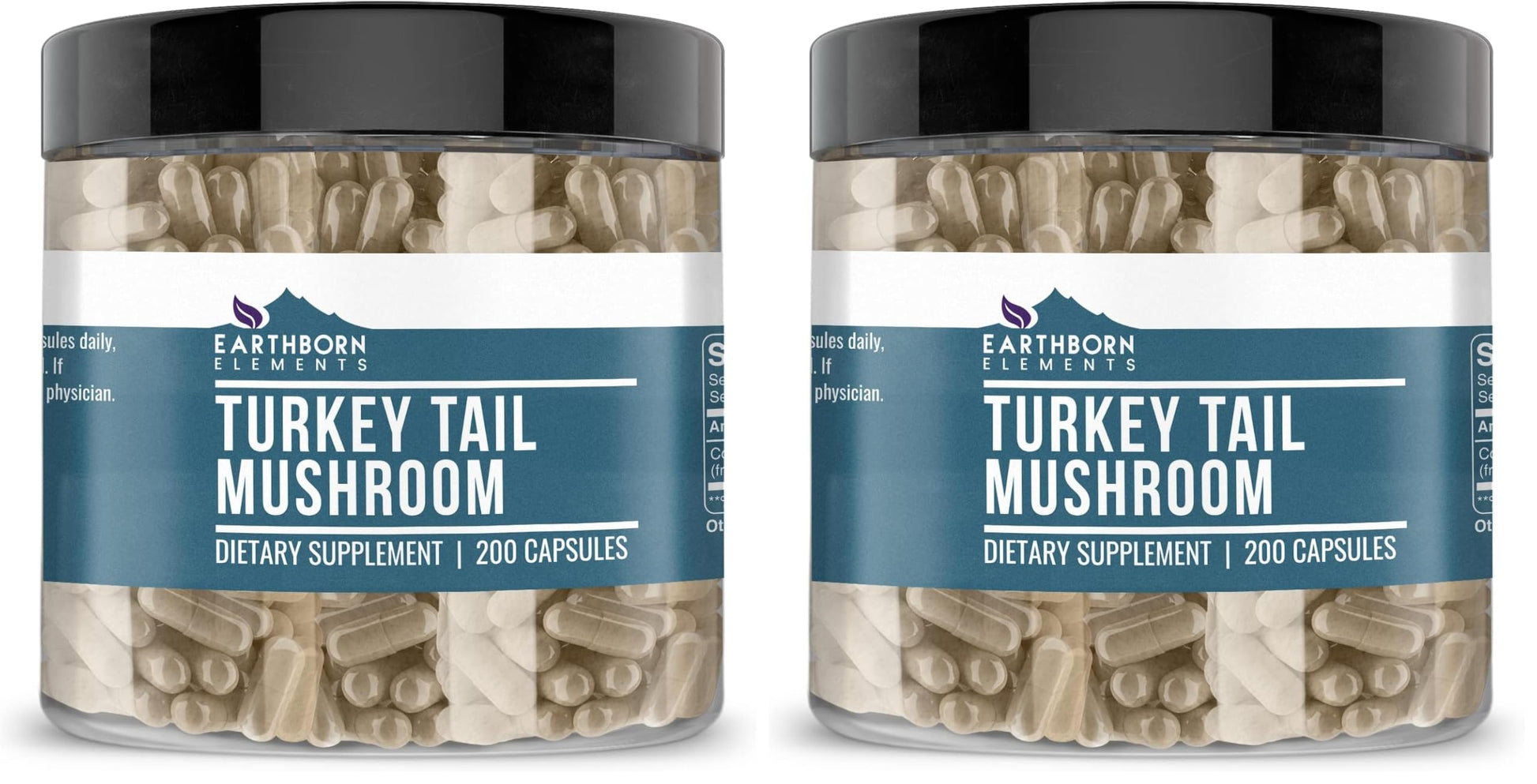 Earthborn Elements Turkey Tail Mushroom Capsule 400 Capsules