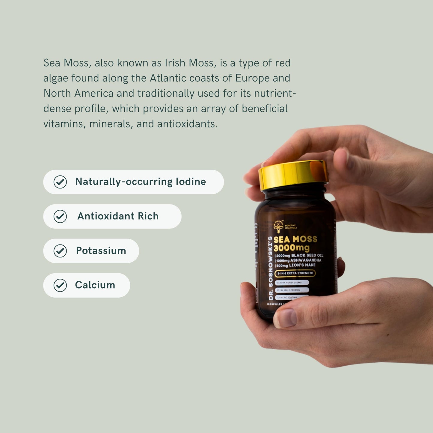 Dr Sosnowski's BioActive Sea Moss 8-in-1 Formula Enriched with Black Seed, Ashwagandha, Turmeric, Manuka Honey, Lion's Mane, Royal Jelly, Bee Propolis Extract Capsules 60 Count