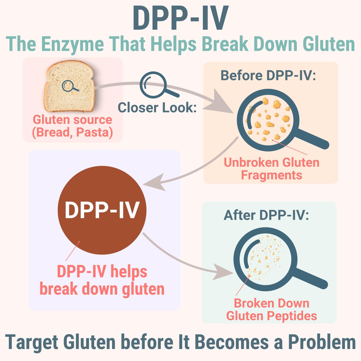 SHIZAM Gluten & Lactase Digestive Enzyme Gummies with DPP-IV, Lipase, Gluco-Amylase, Lactase for Kids, 60 Gummies