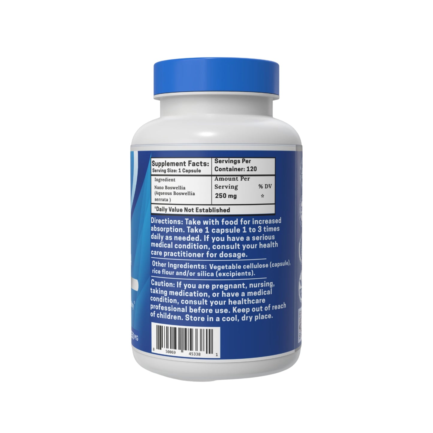 One Planet Nutrition Nano Boswellia 250 mg Veggie Capsules, 120 Capsules