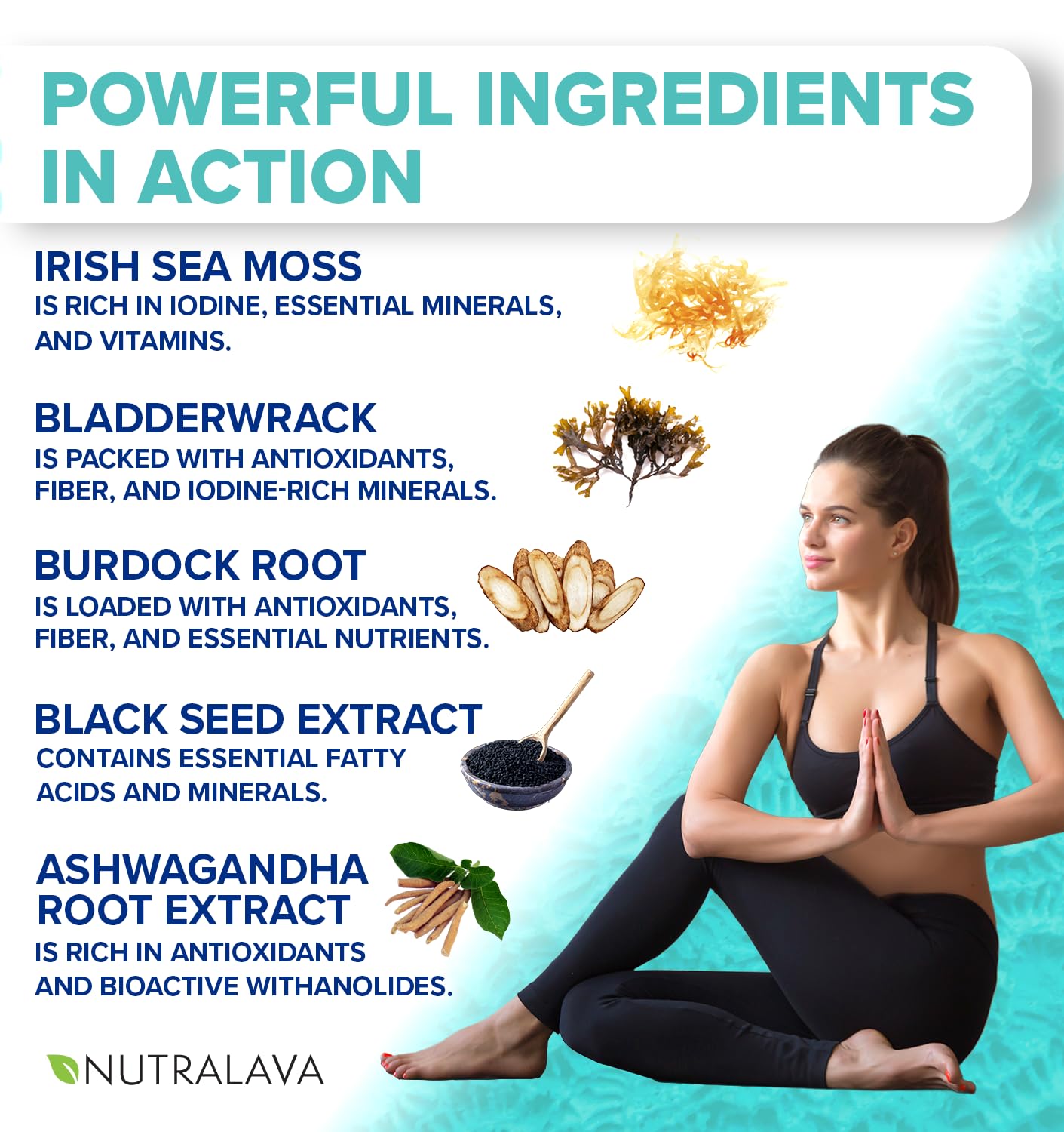NUTRALAVA Sea Moss Capsules - Irish Sea Moss Black Seed Oil Ashwagandha - Immune Thyroid Joint & Gut Support - Gluten-Free Non-GMO GMP - 60 Count