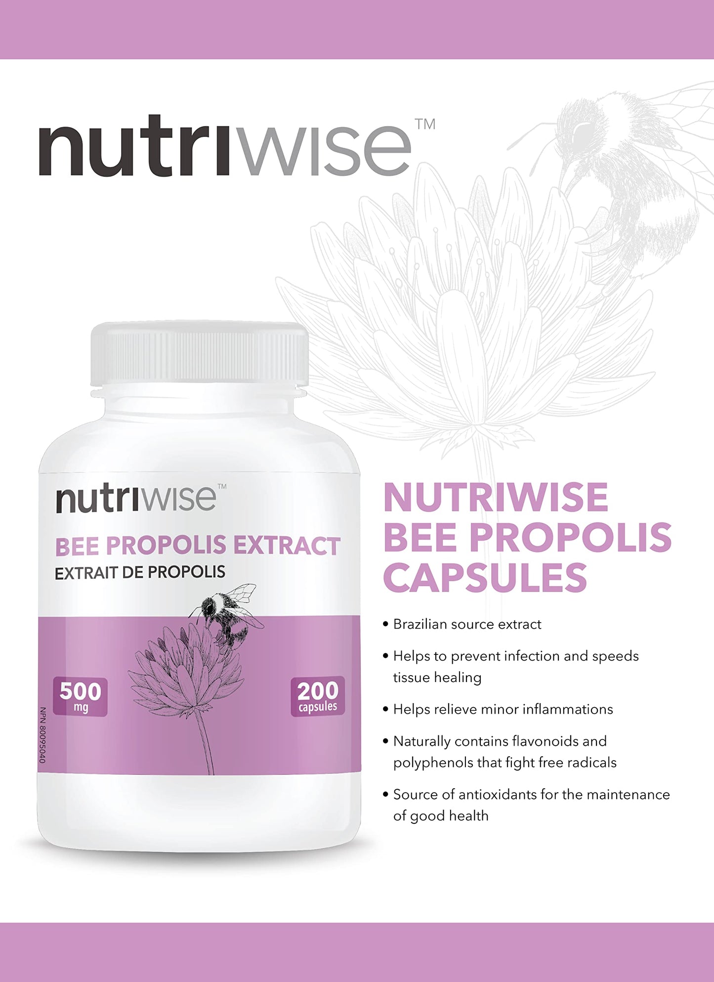 NutriWise Brazilian Bee Propolis Extract Immune Support 500mg Capsules, 200 Count