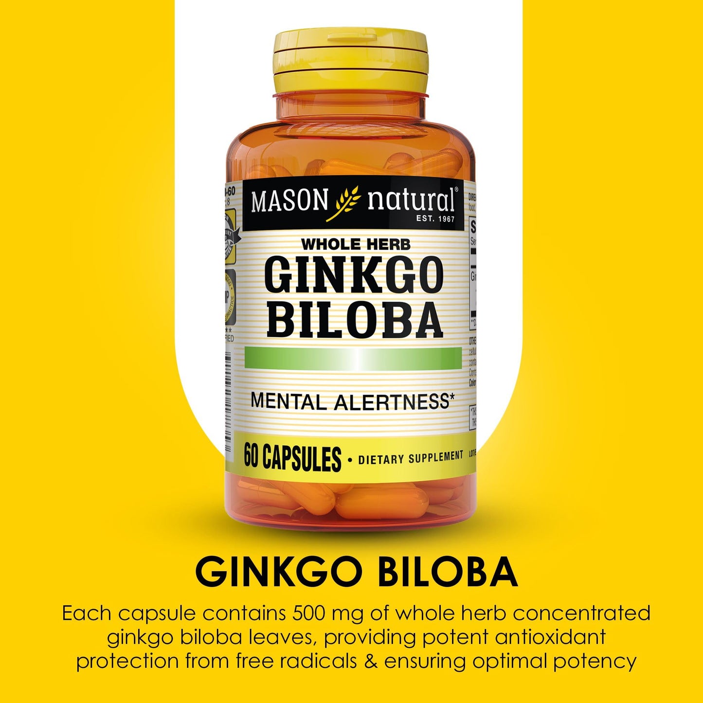 Mason Natural Ginkgo Biloba Capsule, 180 Capsules