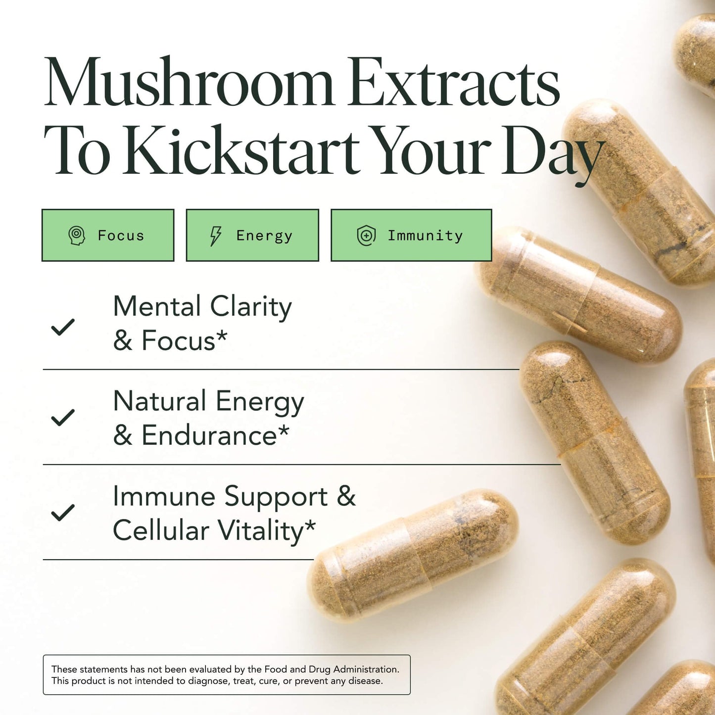 Fantastic Fungi Lions Mane, Cordyceps and Chaga Mushroom Blend Capsules 120 Capsules