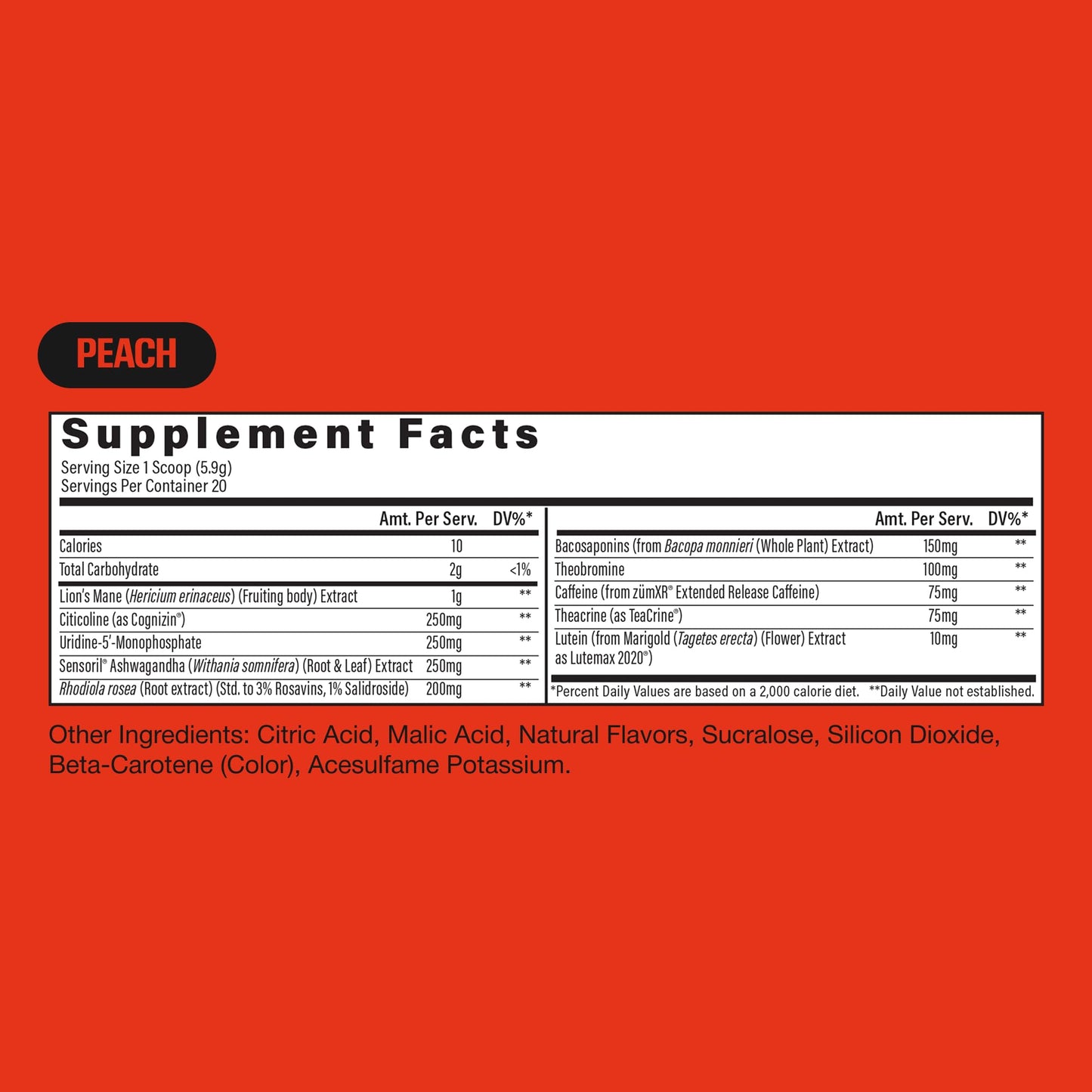 RAW Steady State Low Stim Nootropic Pre Workout Powder, 6.63 oz, 20 Servings
