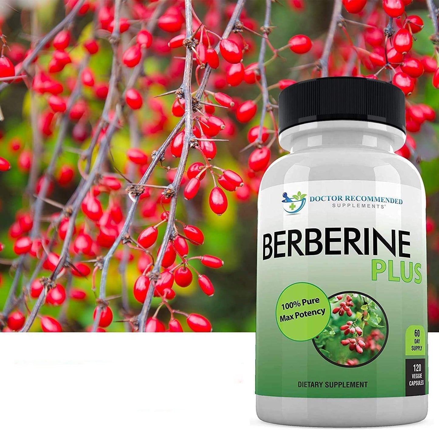 DOCTOR RECOMMENDED SUPPLEMENTS Berberine Plus 1200mg Per Serving Royal Jelly 240 Veggie Capsules