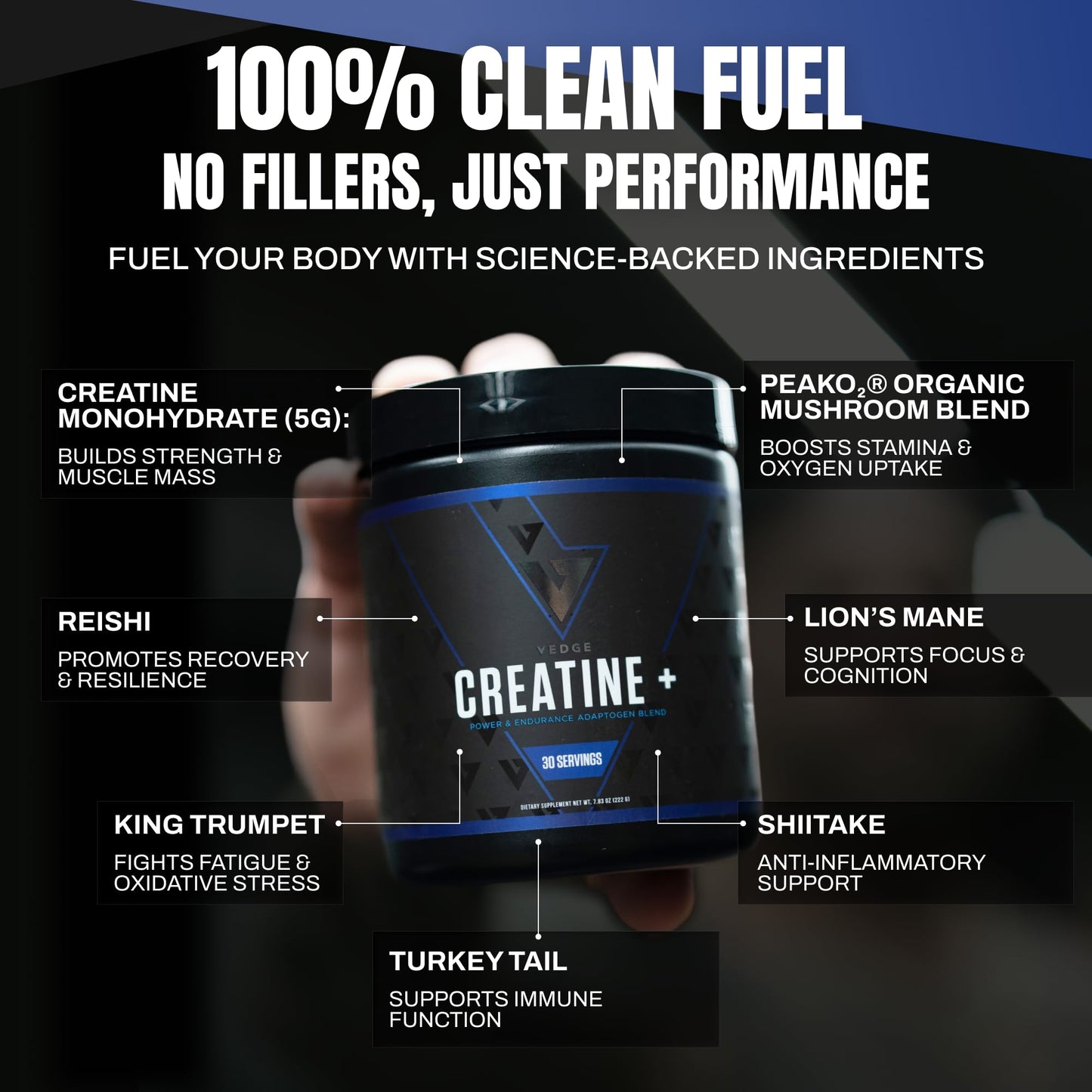 VEDGE Vanilla Protein Powder With Creatine Monohydrate And Vegan Omega 3