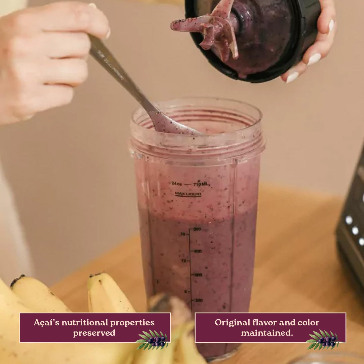 Terramazonia Açaí Powder Superfood Powder, 8 oz