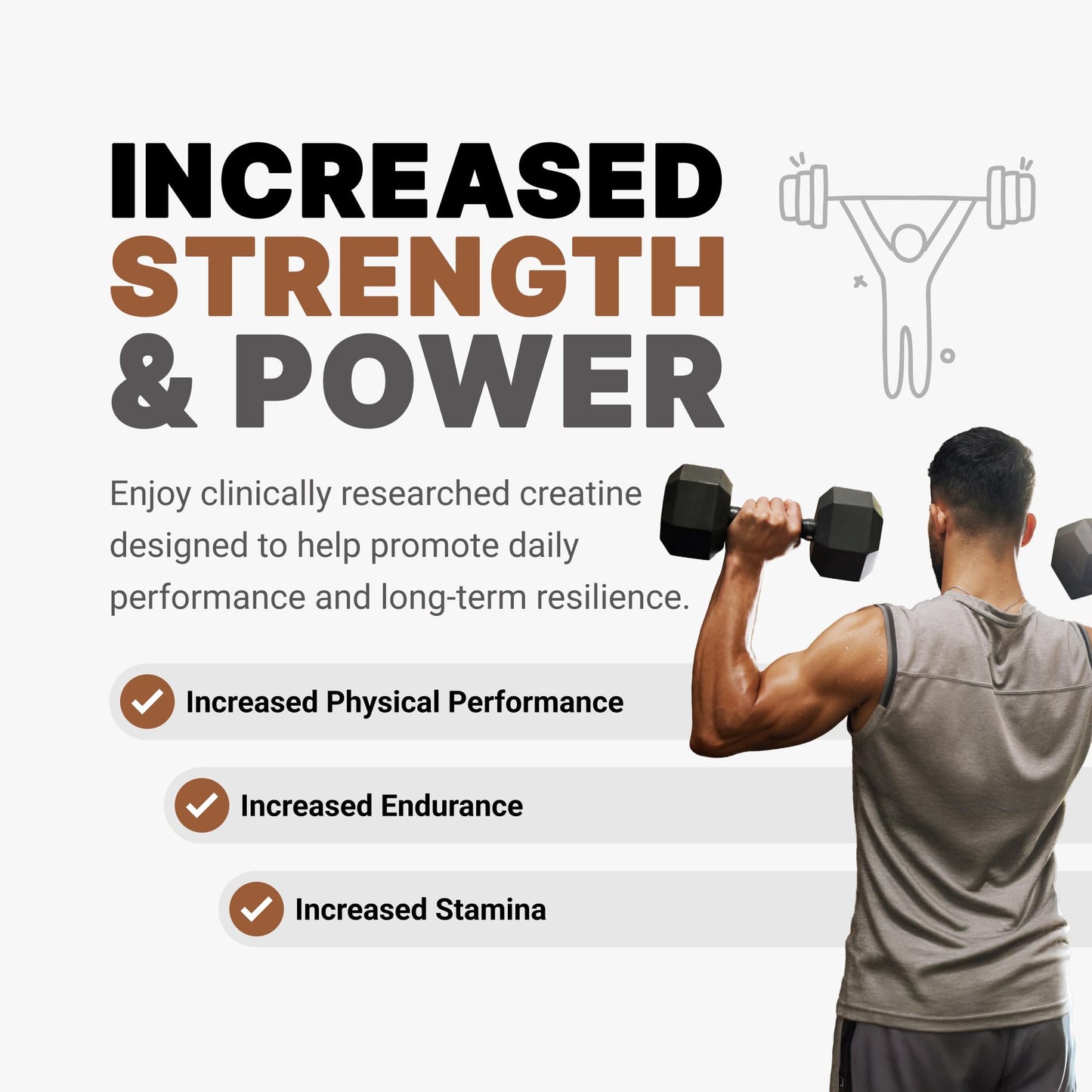 AMP Science Creatine Monohydrate Powder 10.69 Ounce