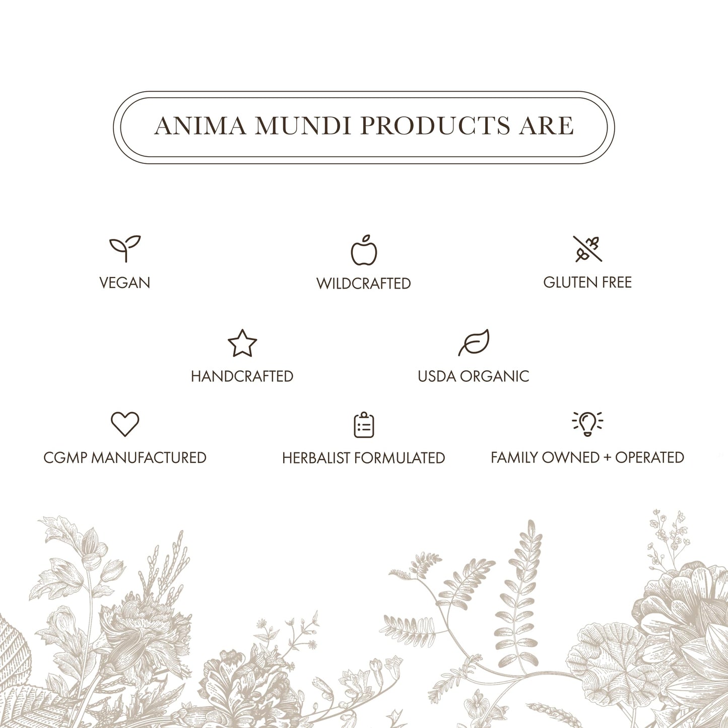 Anima Mundi Apothecary Organic Mushroom Supplement Powder - Adaptogenic Mushrooms + Cacao - Uplifting Blend with Organic Lion's Mane, Shiitake, Chaga & More - 4 oz