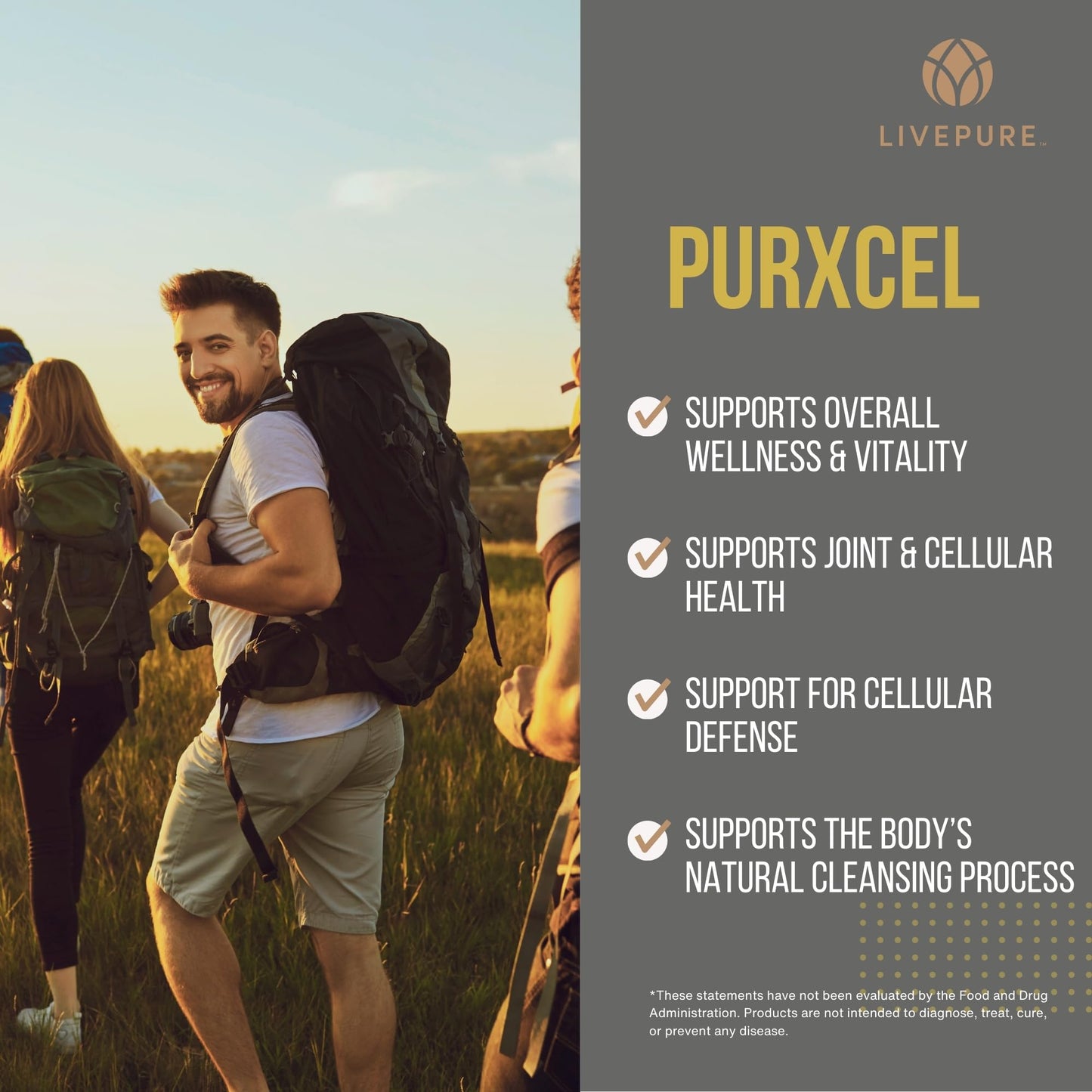PURE PurXcel Antioxidant Supplement Capsule 30 Count