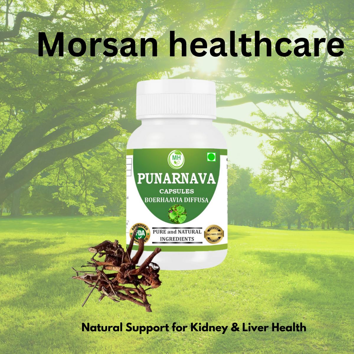 Morsan Healthcare Punarnava (Boerhaavia Diffusa) 500mg Capsules, 120 Count