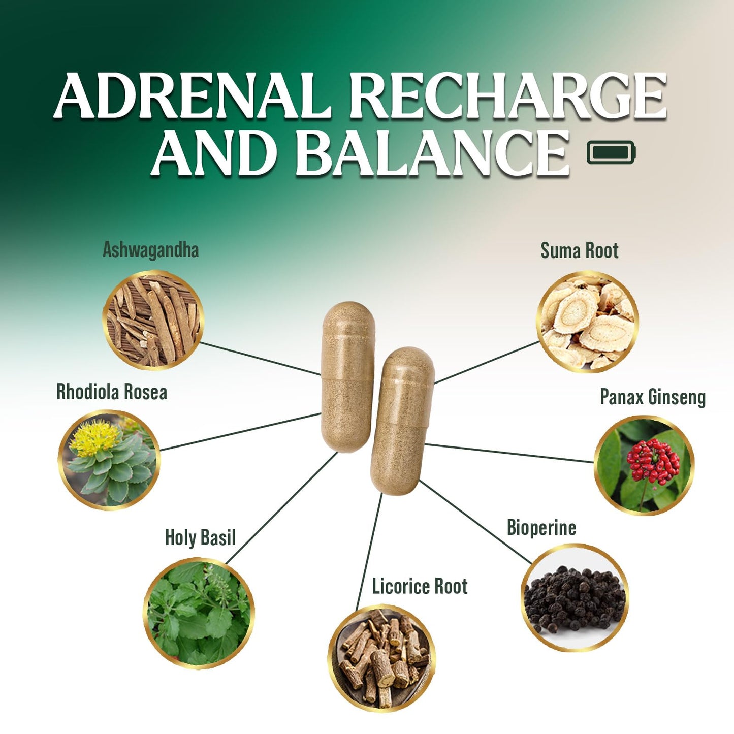 Nature's Nutrition Adrenal Support Cortex Complex 120 Capsules