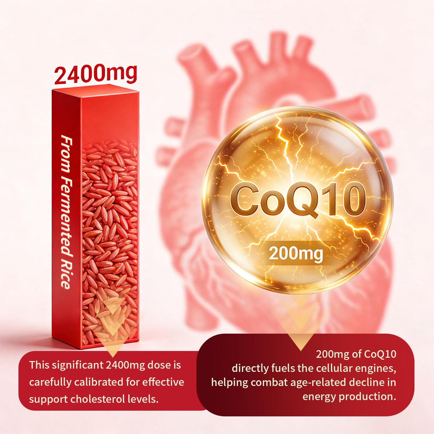 Warmbioder Red Yeast Rice with CoQ10 Gummies, 60 Gummies
