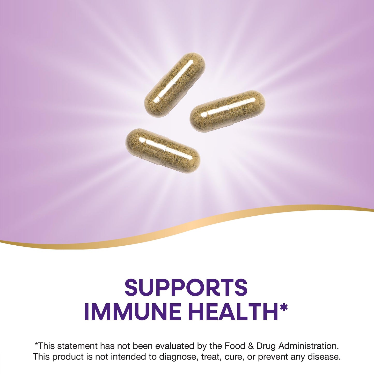 Nature's Way Echinacea, Astragalus & Reishi Immune Blend 100 Capsules