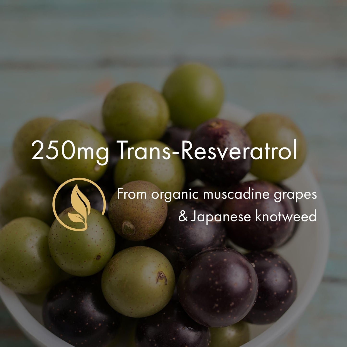 NAOMI Organic Resveratrol 250mg + Quercetin Trans-Resveratrol from Organic Sources, Non-GMO, Vegan Capsules, 60 Count