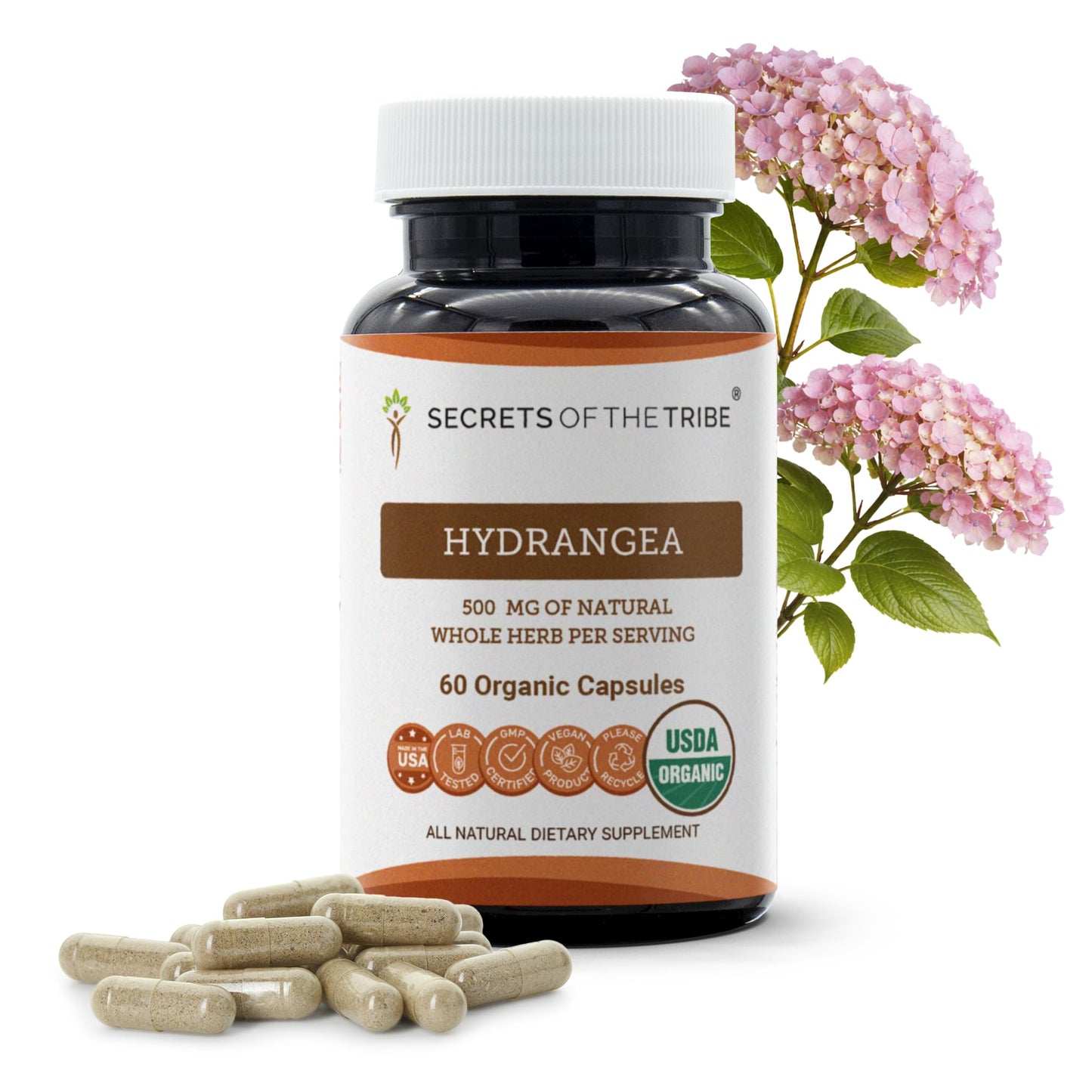 Secrets of the Tribe Hydrangea Arborescens Dried Root Capsules, 60 Count