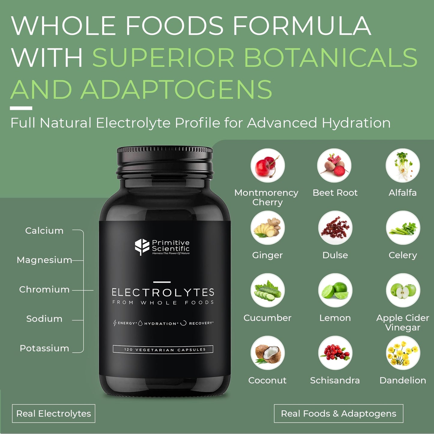 Primitive Scientific Whole Food Electrolyte Capsules - Advanced Hydration Supplement with Magnesium, Potassium & Calcium, 120 Capsules
