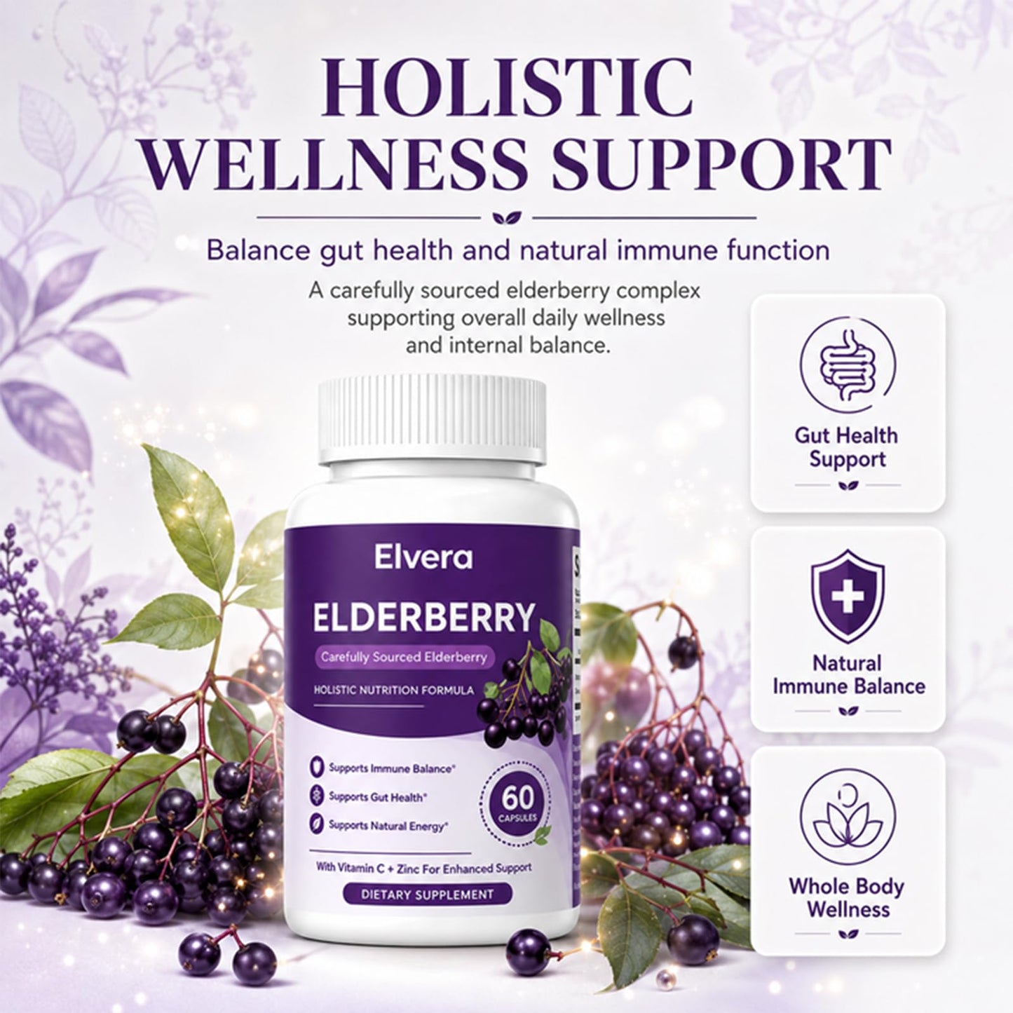 Elvera Organics Elderberry Gut Support Powder 60