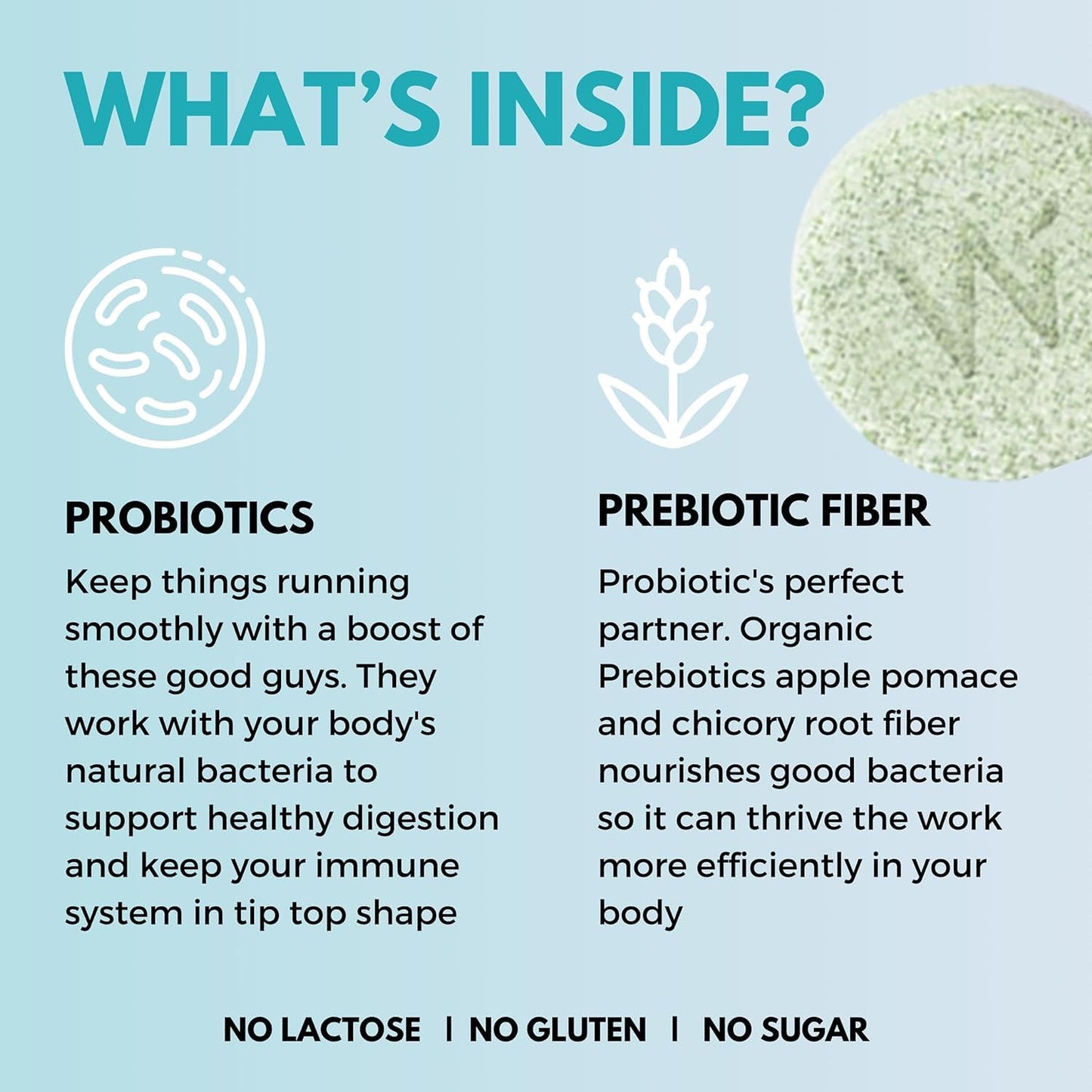 Wellbeing Nutrition Daily Probiotics + Prebiotics Tablet, 21 Tablets